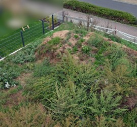 Garten vorm Planieren (Ostseite)