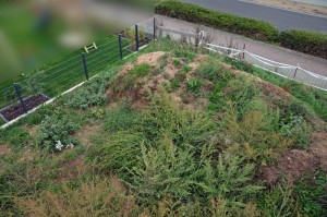 Garten vorm Planieren (Ostseite)