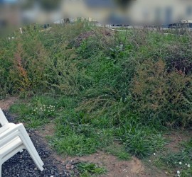 Garten vorm Planieren (Ostseite Mitte)