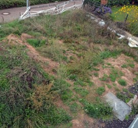 Garten vorm Planieren (Westseite)