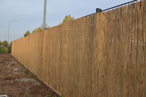 Zaun mit Schilfrohrmatte Nahansicht