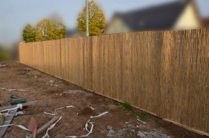 Zaun mit Schilfrohrmatte Westsicht