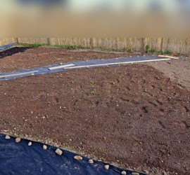 Garten nach dem Jäten, gesät und gewässert