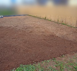 Garten-Gesamtfläche gejätet, gesät, gewässert