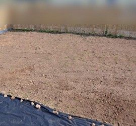 Garten nach dem Jäten mit Unkrautvlies-Wegen