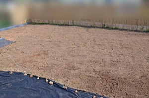 Garten nach dem Jäten mit Unkrautvlies-Wegen