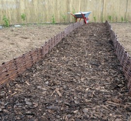 gemulchter Gartenweg zu den Clematis mit Weide-Beeteinfassungen