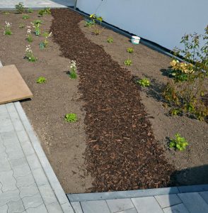 Vorgarten mit gemulchtem Weg, unterlegt mit Unkrautvlies