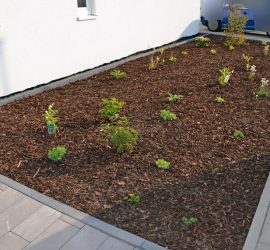 Vorgarten mit Rindenmulch am 1. Mai 2016