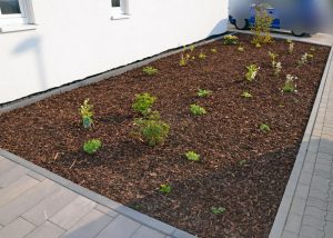 Vorgarten mit Rindenmulch am 1. Mai 2016