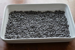 gepickte Sonnenblumenkerne