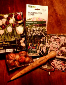 Die gekauften Zwiebeln