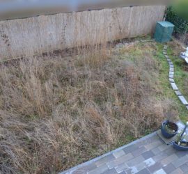 Garten mit Wildwuchs mit Terrassenecke vorm Umgraben