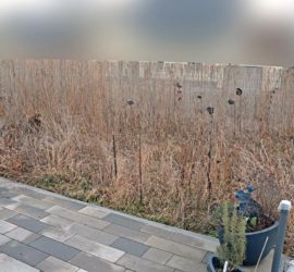 Terrassensicht vorm Umgraben
