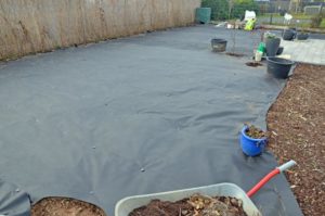 Foliengarten von Gartenhausecke gesehen