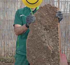Riesiger Gesteinsbrocken-Fund