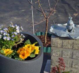 Priemeln und Vogeltränke mit Froschkönig