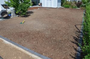 Die Erde wartet auf die grüne Decke