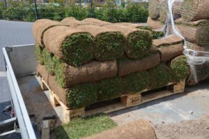 Da sind die Rollen - los geht's